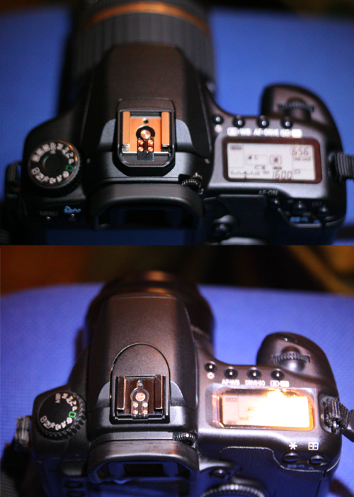 Canon EOS 40D von oben im Vergleich mit EOS 20D
